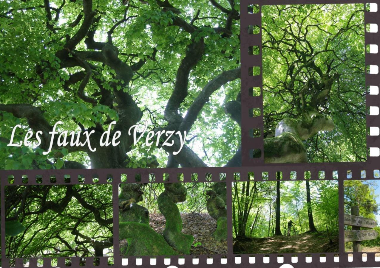 Bedinreims "Burgundy Bottle" 110M2 Exceptional, 4 Chambres Doubles, 2 Bain, Free Park & Wifi, Tout Equipe 외부 사진